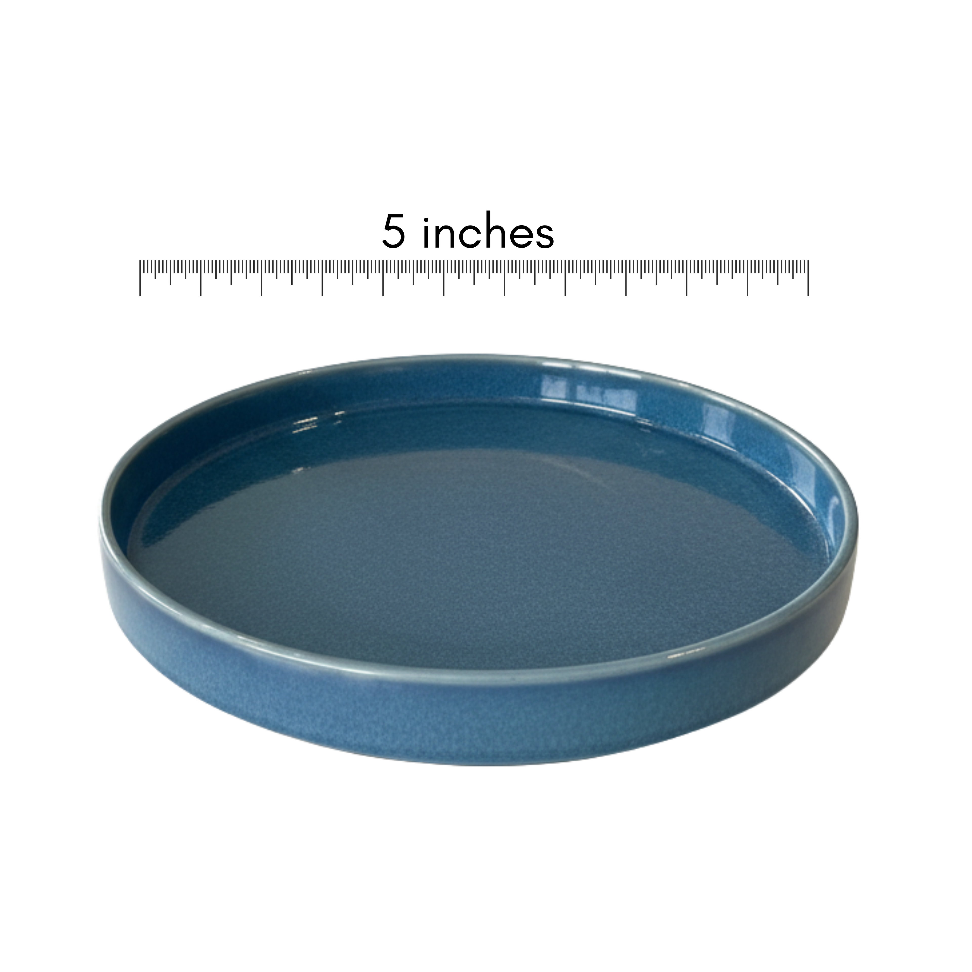 Aether 5" Thali